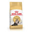 Imagen de ALIMENTO BALANCEADO GATOS PERSIAN  GATO X 7,5 KG