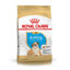 Imagen de ALIMENTO BALANCEADO PERRO BULL DOG INGLES PUPPY X 7,5 KG