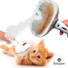 Imagen de ACCESORIOS PARA MASCOTAS - CVYCBSB CEPILLO CON VAPOR Y CARDINA STROK-E BLANCO