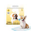 Imagen de ACCESORIOS PARA MASCOTAS - PESX50U PAÑO ENTRENAMIENTO BEEPAW TRAIN-E SMALL X 50 U