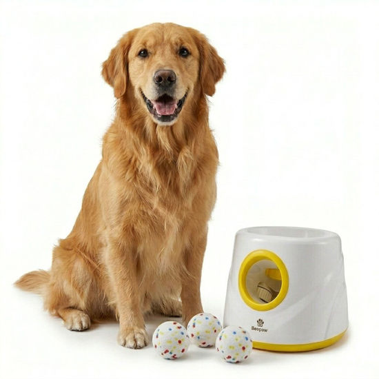 Imagen de ACCESORIOS PARA MASCOTAS - JLPBSE2,0A LANZAPELOTAS INTERACTIVO SHOOT-E 2,0 AMARILLO