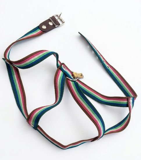 Imagen de ACCESORIOS PARA MASCOTAS PRETAL POLIPROP TALLE 7 X 3 CM