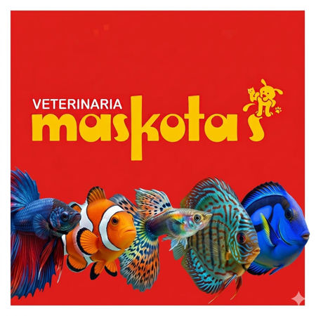 Imagen para la categoría Peces