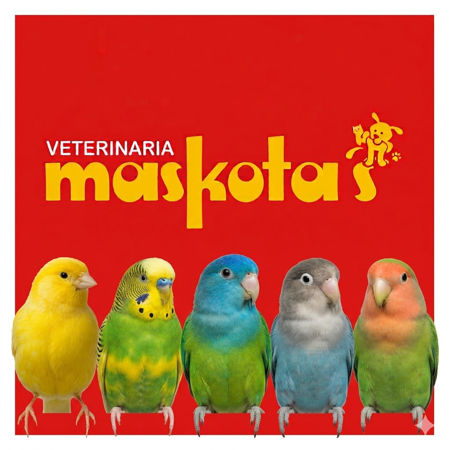Imagen para la categoría Aves